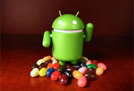 Jelly Bean:这个冻豆还挺好吃