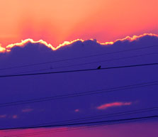 һµơ