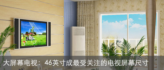 46Ӣ���Ϊ2012�����ܹ�ע�ĵ�����Ļ�ߴ�