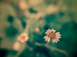 Ʒ5