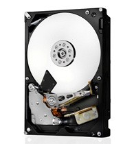 Ultrastar 7K3000