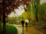标题：雨中<br/>型号：天语806<br/>作者：lhj8856