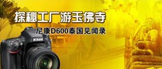 ῵D600̩¼