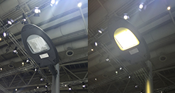 ��Ϊ����������