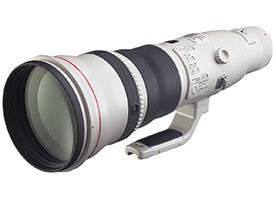 Զ㶨ͷEF 800mm f/5.6L IS USM