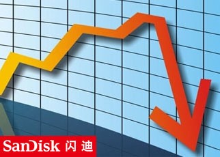 1991年闪迪出售首款SSD