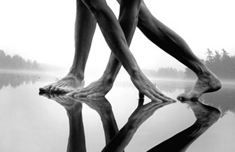 ֫������Ȼ�Ի��������