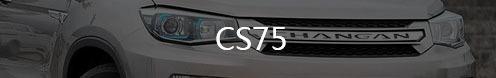 CS75