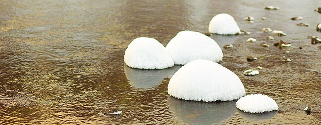 ѩĢ