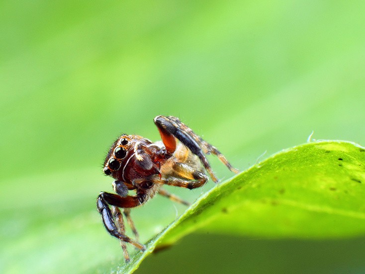 8-800mm的精彩 佳能EF镜头大世界